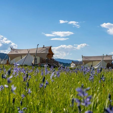 Under Canvas West Yellowstone Ngoại thất bức ảnh